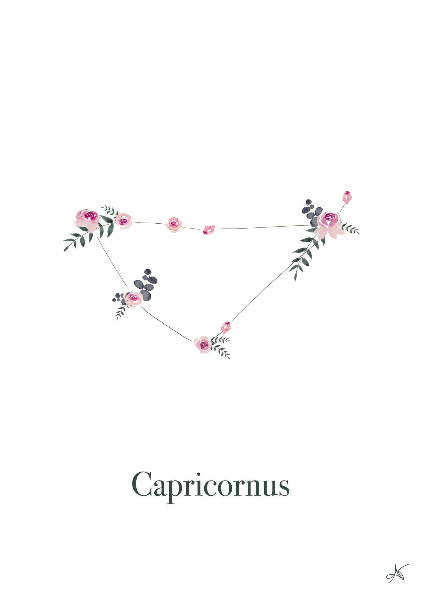 "Capricornus" ♡ Affiche Aquarelle