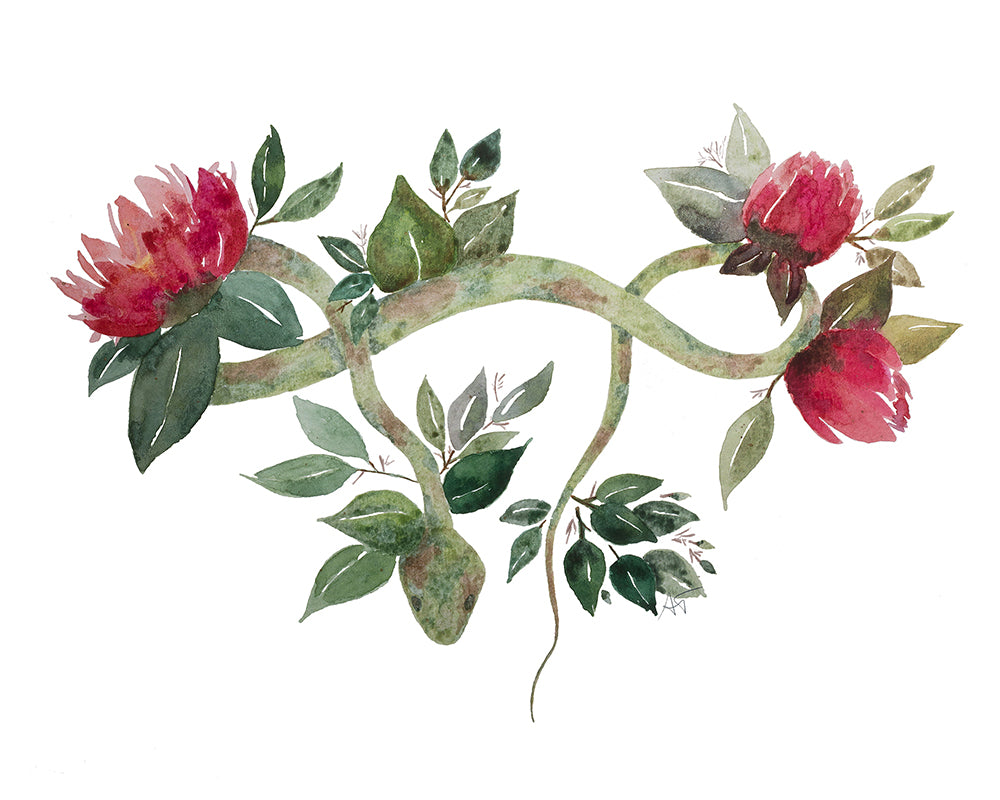 "Serpentine" ♡ Affiche Aquarelle
