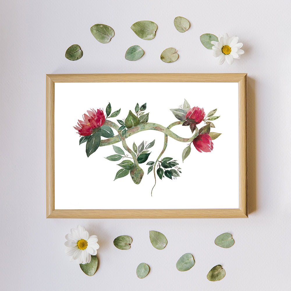 "Serpentine" ♡ Affiche Aquarelle