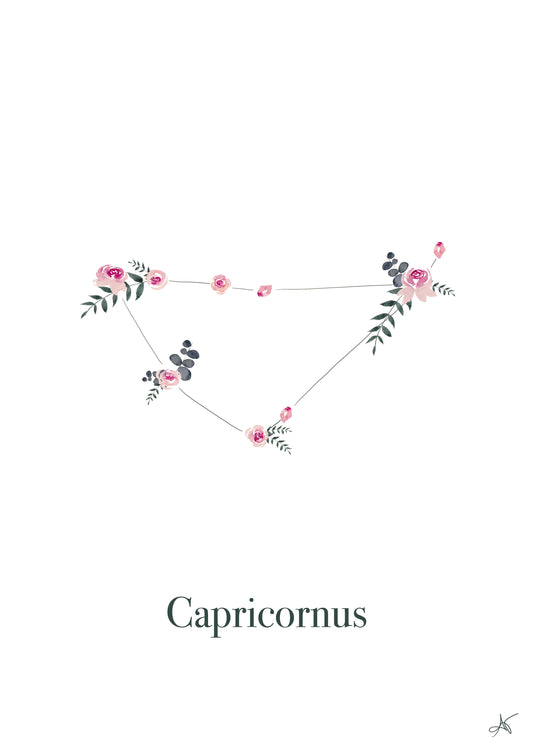 "Capricornus" ♡ Affiche Aquarelle