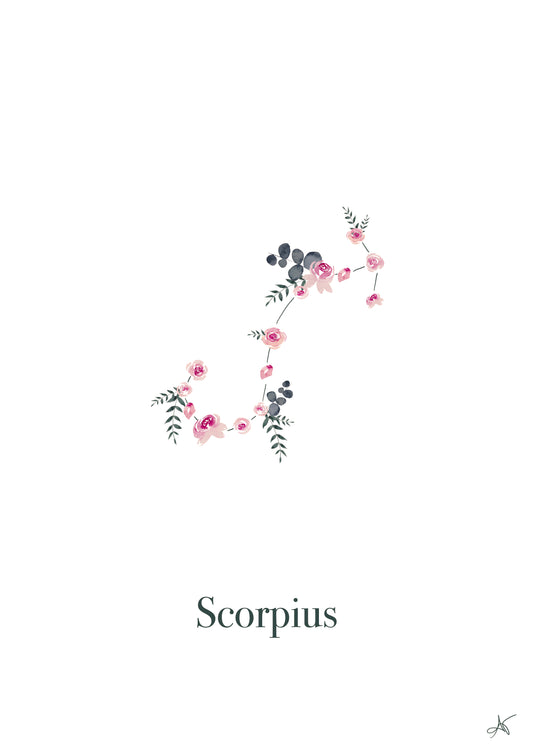 "Scorpius" ♡ Affiche Aquarelle