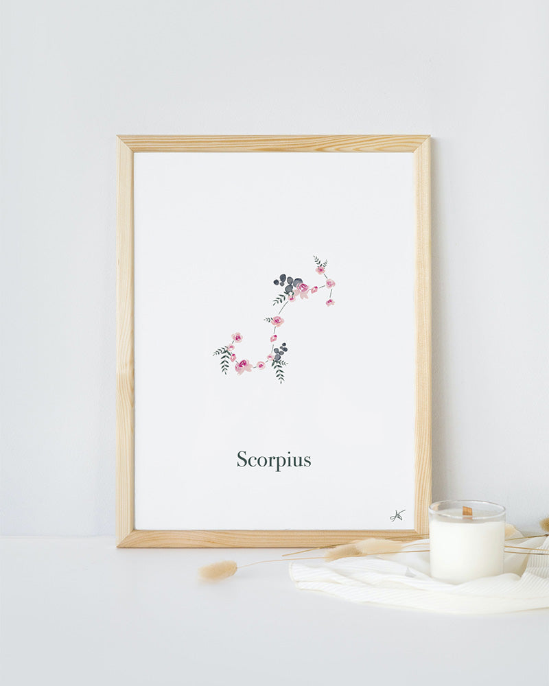 "Scorpius" - Roses (eng)